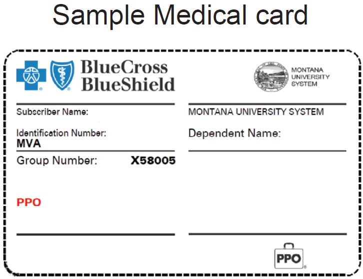 Blue Cross Blue Shield Sample Medical Card