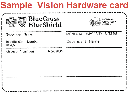 Sample Vision Hardware Card