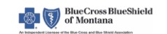 BlueCross BlueShield Logo