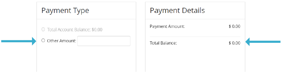 Benefitsolver Payment Type box